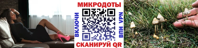 гидра рабочий сайт  Шелехов  Галлюциногенные грибы Magic Shrooms 